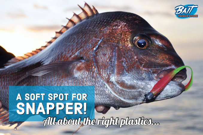 Nose Boards Snapper A soft spot for Snapper! All about the right plastics... — Bait Tackle ...