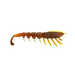 RAPALA Crush City "The Imposter" 3" Motor Oil UV - Bait Tackle Store