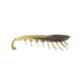 RAPALA Crush City "The Imposter" 3" Purple Haze - Bait Tackle Store