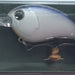 IMA Pinjack-200 PJ200-005 - Tennessee Shad - Bait Tackle Store