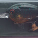 IMA Pinjack-200 PJ200-013 - Green Craw - Bait Tackle Store