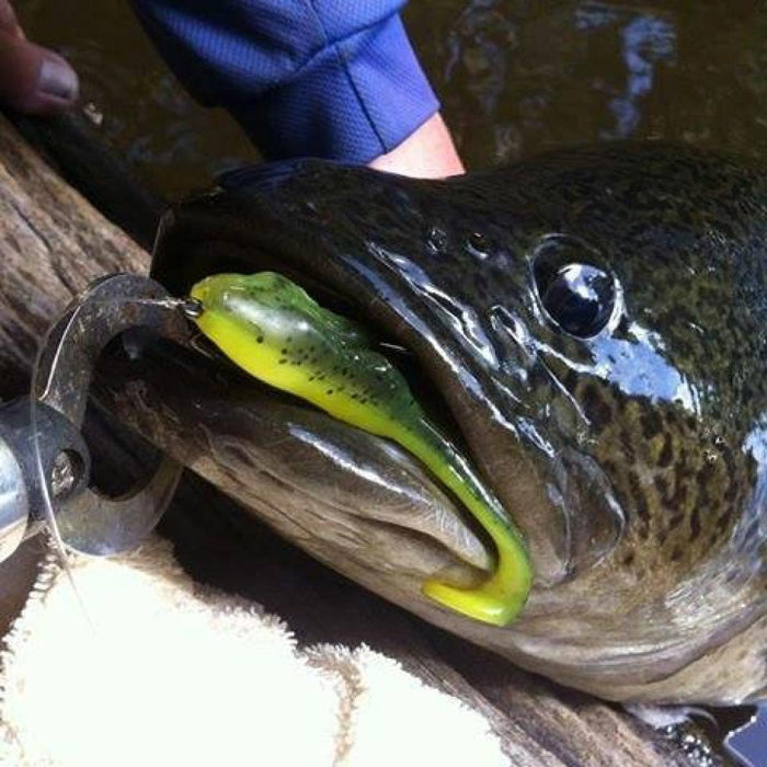 ZMAN Hard Leg Frogz 4" - Bait Tackle Store
