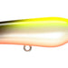 Arukazik KuroPop 45 11 - Bait Tackle Store