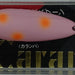 BASSDAY Caramba 50 106 - Bait Tackle Store