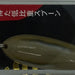 BASSDAY Caramba 50 103 - Bait Tackle Store