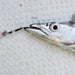 DECOY DJ-89 Pike Wire Twin Assist - Bait Tackle Store