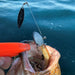 DECOY SV-34H Salt Groove - Bait Tackle Store