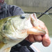 DECOY Worm107 Body Guard Hook - Bait Tackle Store