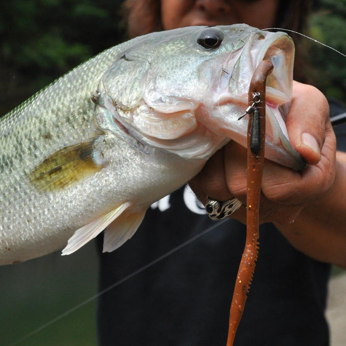 DECOY Worm217 Zero-Dan - Bait Tackle Store