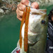 DECOY Worm220 Cover Finesse HD - Bait Tackle Store
