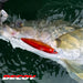 DECOY Y-S21 Treble Hooks - Bait Tackle Store