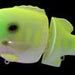 DEPS Bulldoze 160 #05 Chart Gill - Bait Tackle Store