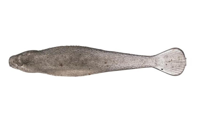 EVERGREEN Sculpin 3.5" #51 Stealth Shad (6945) - Bait Tackle Store