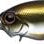 EVERGREEN Wildhunch Rattle-In 604 - Flushing Gold (8288) - Bait Tackle Store