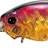 EVERGREEN Wildhunch Rattle-In 19 - Prespawn Dynamite (2988) - Bait Tackle Store