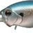 EVERGREEN Wildhunch Rattle-In 257 - Damon De Shad (1157) - Bait Tackle Store