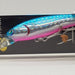 HALCYON SYSTEM Getchu 66 MD 21 - Bait Tackle Store