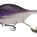 IMA Coozillar CZ-005 Color Purple - Bait Tackle Store