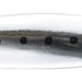 IMA Gun 130g 012 Blue Head Sardine - Bait Tackle Store