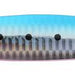 IMA Gun 130g 002 Makoiwashi - Bait Tackle Store