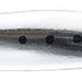 IMA Gun 160g 012 Blue Head Sardine - Bait Tackle Store