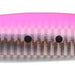 IMA Gun 160g 004 Pink Sardines - Bait Tackle Store