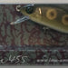 IMA Issen 45S X2994 - Bait Tackle Store