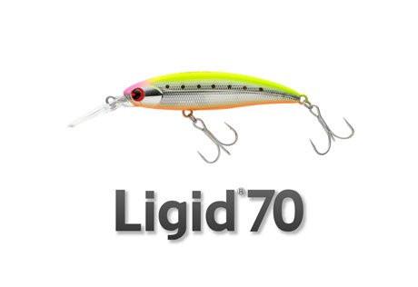 IMA Ligid 70 - Bait Tackle Store