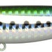 IMA Molmo 80 MO80-011 - Guradeiwash - Bait Tackle Store