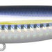 IMA Molmo 80 MO80-015 - Mash Bait - Bait Tackle Store