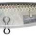 Ima P-ce 60S PC60-008 Clear Border - Bait Tackle Store