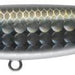 Ima P-ce 60S PC60-009 Bora - Bait Tackle Store