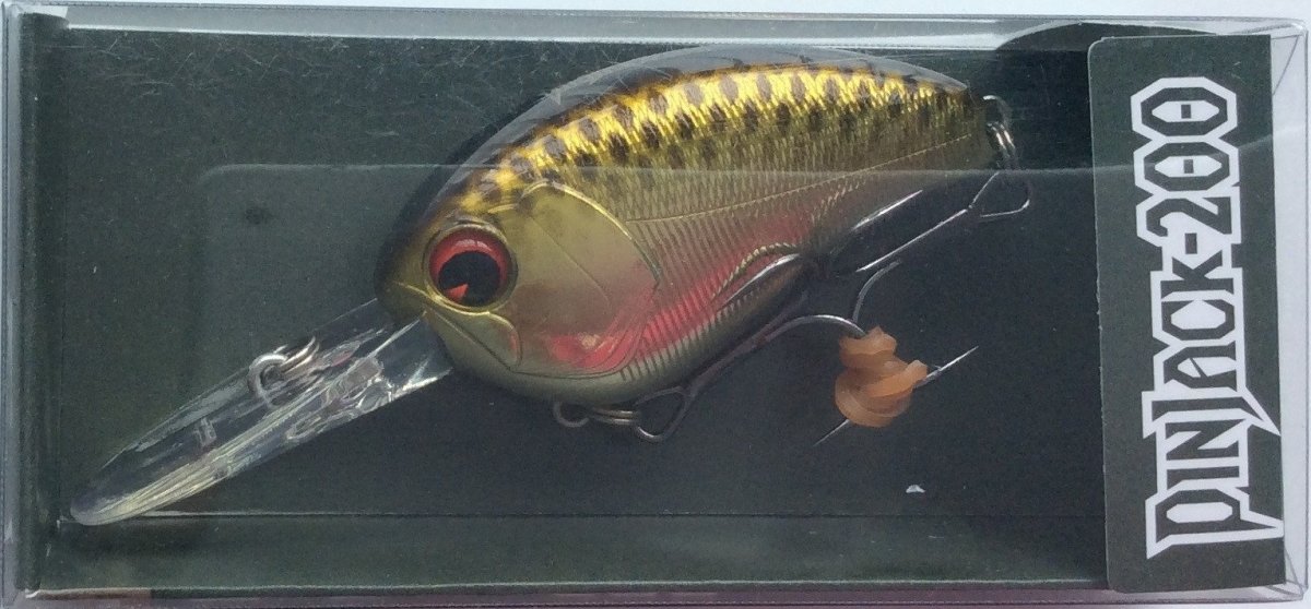 IMA Pinjack-200 PJ200-007 - Stain Gold - Bait Tackle Store