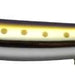 IMA Popkey 120 IP013-12 Shiner - Bait Tackle Store