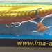 IMA Popkey 80 IP80-006 - Bait Tackle Store