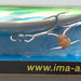 IMA Popkey 80 IP80-009 - Bait Tackle Store