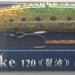IMA Sasuke 120 Reppa (Floating) - Bait Tackle Store