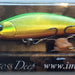 IMA Sukari 50SS Deep SU50D-003 - Bait Tackle Store