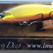IMA Sukari 50SS Deep SU50D-005 - Bait Tackle Store