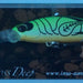 IMA Sukari 50SS Deep SU50D-X3004 - Bait Tackle Store