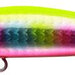 IMA Yoichi 99 - Bait Tackle Store