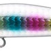 IMA Yoichi 99 - Bait Tackle Store
