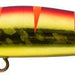 IMA Yoichi 99 - Bait Tackle Store