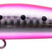 IMA Yoichi 99 - Bait Tackle Store