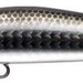 IMA Yoichi 99 - Bait Tackle Store