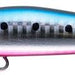 IMA Yoichi 99 - Bait Tackle Store