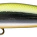 IMA Yoichi 99 YI99-010 Gold Shiner - Bait Tackle Store
