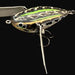 IMAKATSU Aventa Crawler GT #AC-01 - Bait Tackle Store