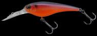 IMAKATSU IS Wasp 50 234 - Bait Tackle Store