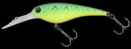IMAKATSU IS Wasp 50 45 - Bait Tackle Store